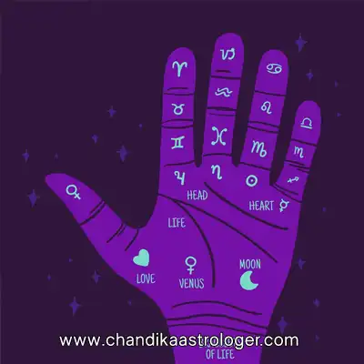 Property Disputes Solutions