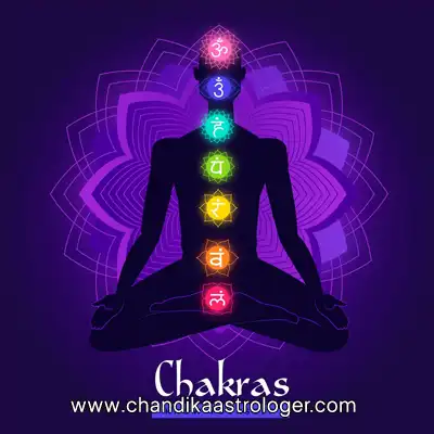 Spell Specialist and Spell Caster